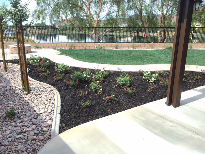 Residential Concrete Flatwork Back Yard Renovation — photo 14
